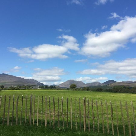 Willowtree Glamping Mournes Villa Annalong Eksteriør billede