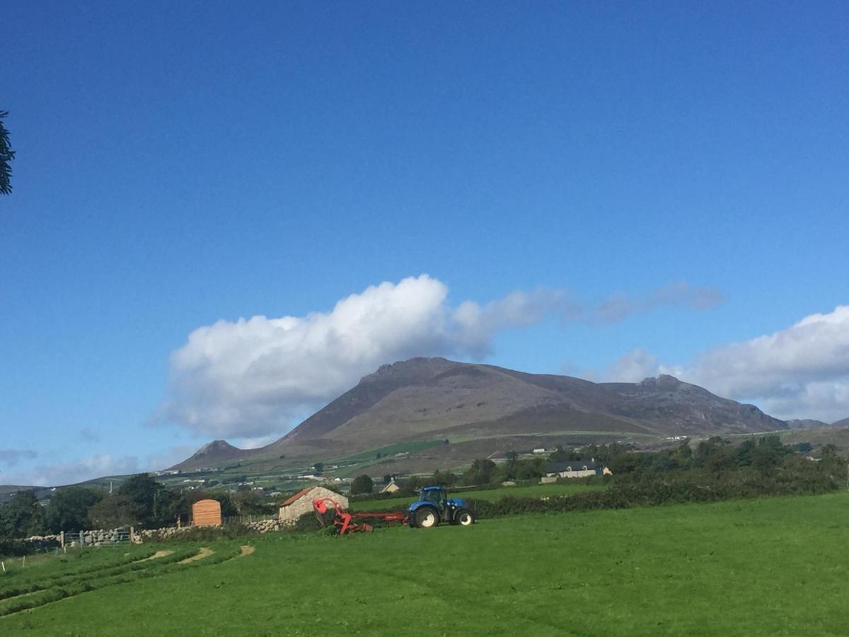 Willowtree Glamping Mournes Villa Annalong Eksteriør billede