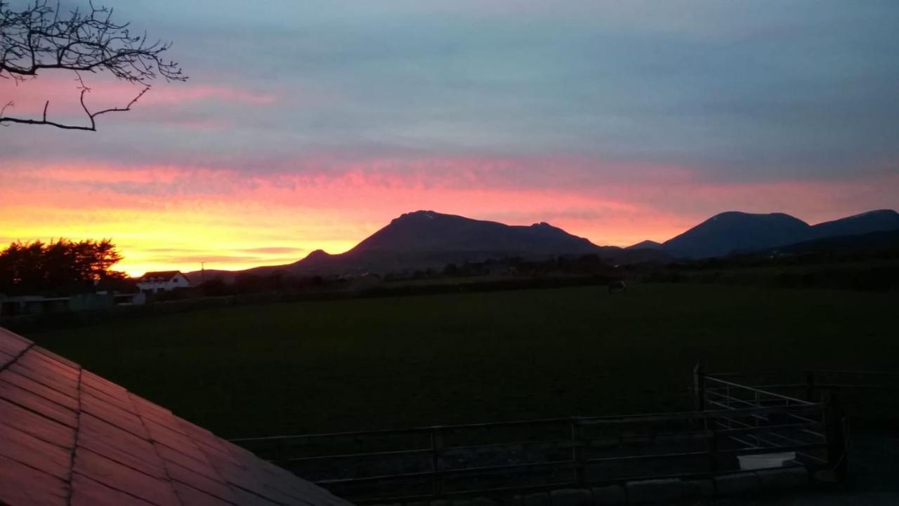 Willowtree Glamping Mournes Villa Annalong Eksteriør billede