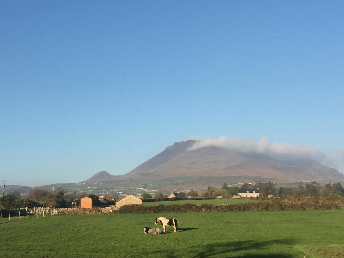 Willowtree Glamping Mournes Villa Annalong Eksteriør billede